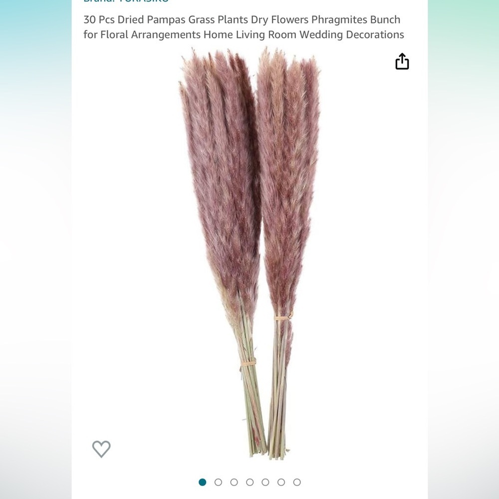4 for $20 Dried Pampas Grass Bundle - 20 inch, 30 stems